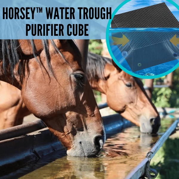 🔥 49% OFF 🔥 Livestock Water Trough Purifier - Buy 2 Free Shipping