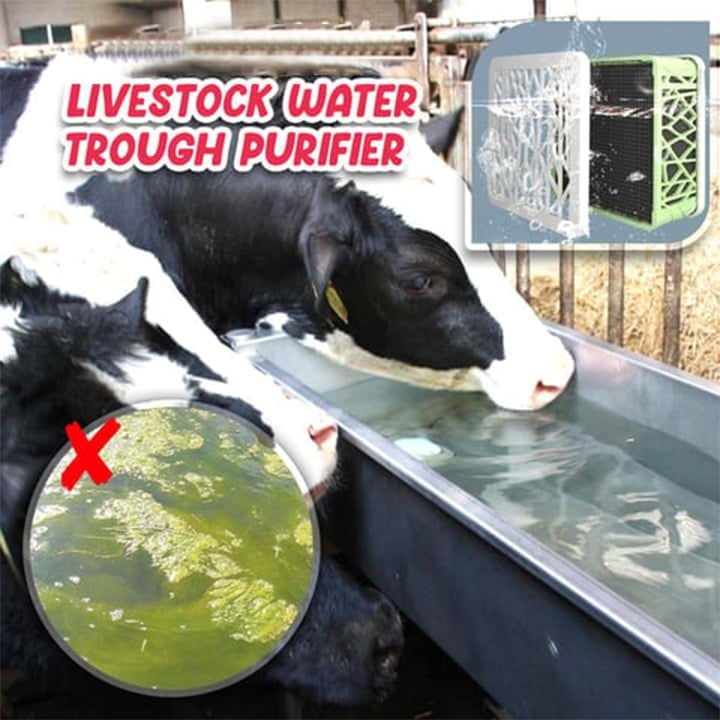🔥 49% OFF 🔥 Livestock Water Trough Purifier - Buy 2 Free Shipping